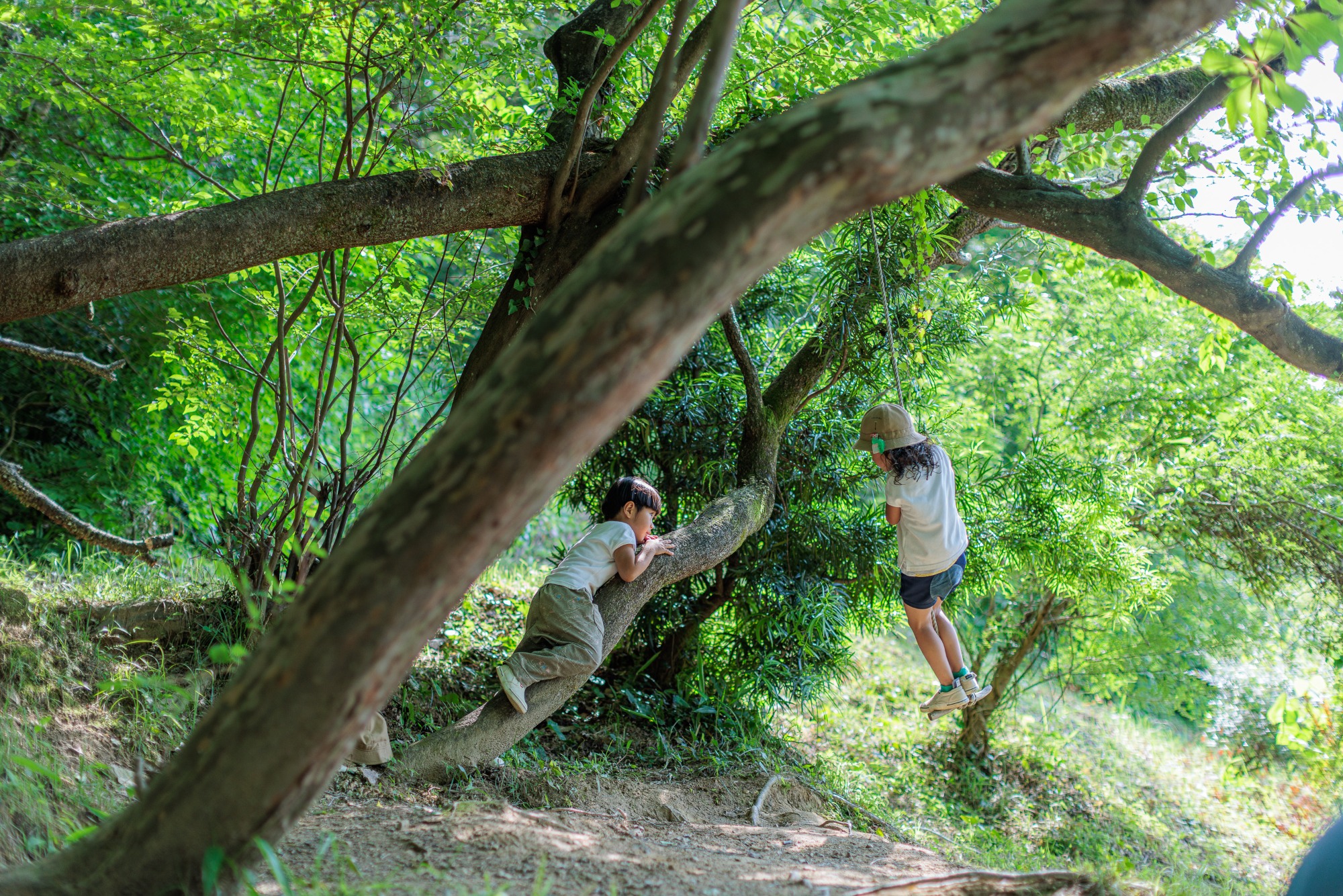 【動画】森からすべてをはじめよう・園外保育のこと・スライドショー