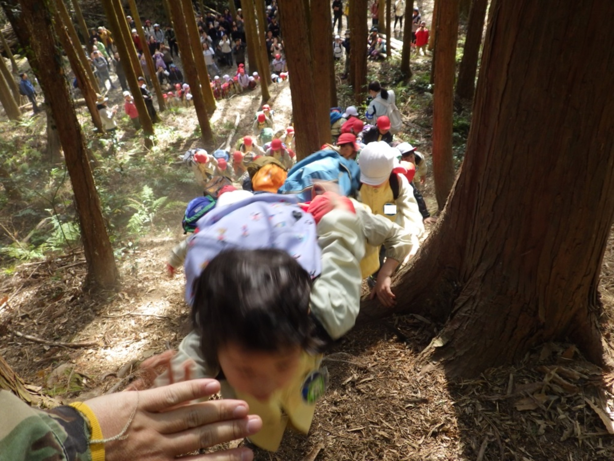 【年長】2/24 村積山 お別れ園外保育(2/2)